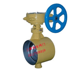 D363H/W���˺��ӵ��y